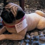101 3374 MOPS